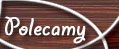 Polecamy